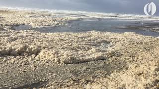 Scenes from king tides on the Oregon and Washington Coasts [upl. by Ettari]