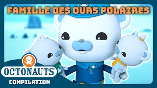 Octonauts  🐻‍❄️ Missions arctiques  la famille des ours polaires 🐾🧊  Compilation [upl. by Ainafetse]