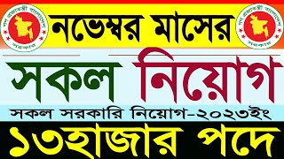 ১৩হাজার পদে নভেম্বর মাসের সকল সরকারি নিয়োগ 2023সরকারি চাকরির নিয়োগgovernment jobSR Job Life [upl. by Stickney597]