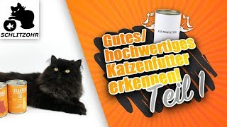 🔥Gutes Katzenfutter  hochwertiges Katzenfutter erkennen Deklaration amp Zusammensetzung verstehen [upl. by Deron]