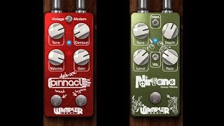 New Official Wampler Pedals in AmpliTube Custom Shop [upl. by Daitzman]