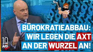 Bürokratieabbau Die AfD legt die Axt an der Wurzel an [upl. by Reeba]