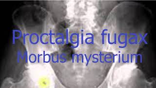 Proctalgia Fugax [upl. by Korey]