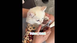 Pet Shower SelfAdherent Pet Grooming Bag Calming Cat Restraint Cat Wrap China Manufacturer [upl. by Eimia379]