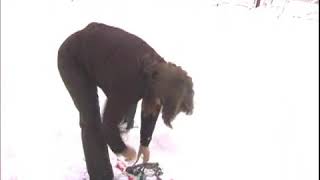 How to Put on Snowshoes [upl. by Doomham]