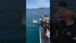 UNBELIEVABLE Alaska Fishing fishing bassfishing salmon saltwater outdoors [upl. by Ydnak]