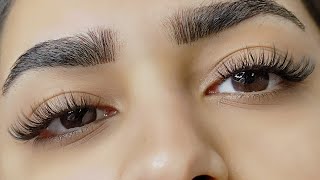 How to do Eyelash Extensions online TRAINING  A Complete guide for beginners lash tech detailed [upl. by Norved605]