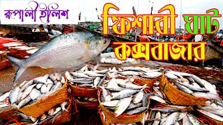 Amazing Coxs Bazar fishery Ghat amp Fishing Market fishing amazing মাছ fish ilish [upl. by Novanod]