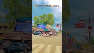 Korba jila ma bawal hoge  Ankita mor Dance youtubeshorts shorts korba chhattisgarh cgsong [upl. by Eyla529]