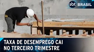 IBGE desemprego caiu em 7 estados no terceiro trimestre  SBT Brasil 231124 [upl. by Constantia621]