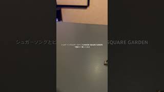 【カラオケ】シュガーソングとビターステップUNISON SQUARE GARDEN 歌ってみた【一発録り】 [upl. by Jangro]