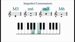 Consonant and Dissonant Note Pairs [upl. by Yessac202]