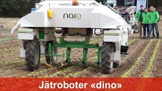 Roboter quotdinoquot NaioTechnologies zur Unkrautregulierung im Gemüsebau TechampBio [upl. by Vic]