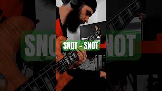 Snot  Snot Bass Cover spectorbass shorts viralmusic 90smusic numetal [upl. by Cilegna]