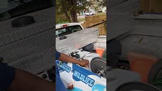 Solutions pest and lawn spray rig review music hiphop splashpro spray pestcontrol verobeach [upl. by Loomis]