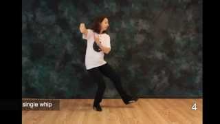 Tai Chi Moves  Free Tai Chi Online Lessons  Moves 4 5 and 6 [upl. by Haily]