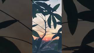 Beautiful Sunset short [upl. by Crooks]