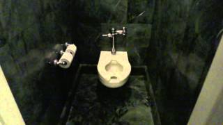 Bathroom Tour American Standard Toilet and Urinal Ritz Carlton Hotel Clayton MO [upl. by Naimerej]