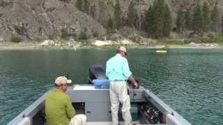 Omak Lake Lahontan Cutthroat [upl. by Karli391]