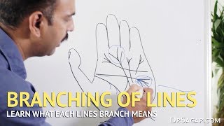 Branching of Lines in Hand  Palmistry [upl. by Hui]