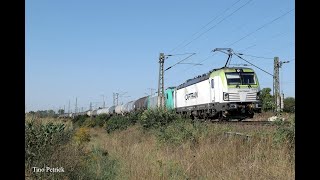 Zugverkehr in Zeithain am 08092023  Vectronvielfalt und bunter Fernverkehr [upl. by Benenson]