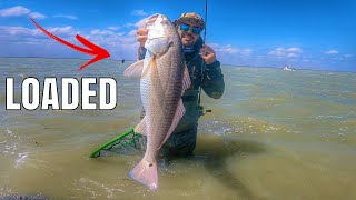 this spot was LOADED with STX REDFISH  Fishing Arroyo City Texas [upl. by Nylla]