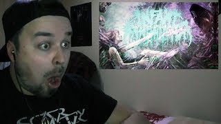 Infant Annihilator  Soil the Stillborn OFFICIAL LYRIC VIDEO REACTION [upl. by Carolynn82]