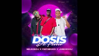 DOSIS DE PERREO  PAPI NEGRIS  NELSON DJ  JUNIOR DJ [upl. by Belac]