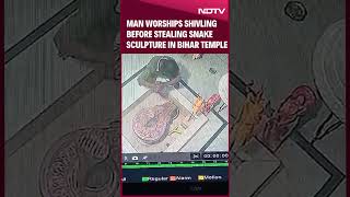 Video Man Worships Shivling Before Stealing Snake Sculpture in Bihar Temple [upl. by Esinel370]