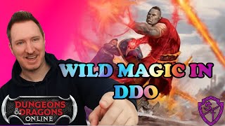 WILD MAGE IS THE NEXT ARCHETYPE  Myth Drannor Expansion Preview [upl. by Nelloc948]