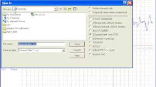 Exporting Data to Excel Using the WinDaq Waveform Browser [upl. by Leinadnhoj]