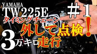 【タイミングチェーン】YAMAHA TW225Eタイミングチェーン外して点検！３万キロ走行 [upl. by Therron]