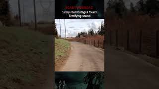 💀Terrifying footage of scary screams of unknown origin [upl. by Assecnirp64]