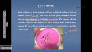 Indicator organism fecal coliform total coliform [upl. by Gustave]