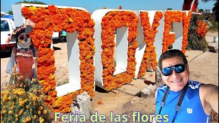 Feria De Las Flores Doxey 2023 [upl. by Aihsia752]