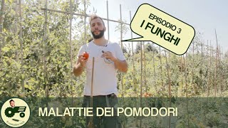 Le malattie dei pomodori i FUNGHI  Il contadino Nick [upl. by Yerd]