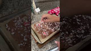 Peppermint Bark 🤍❤️🎄chocolatepeppermint peppermintmocha christmas christmasfood easyrecipe [upl. by Cariotta]