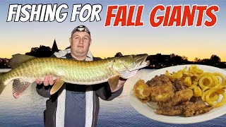 Catching Musky Walleye amp Pike on BIG Lures  Catch amp Cook [upl. by Shaylyn]