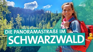 Der Schwarzwald – Von Freudenstadt über die Hochstraße nach BadenBaden  ARD Reisen [upl. by Bard490]