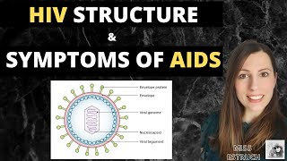 HIV structure and replication  Alevel Biology Learn how HIV replicates and leads to AIDS [upl. by Charlie]