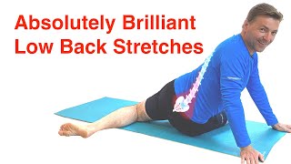 The Best Low Back Stretches  Lower Back Pain Relief Routine With FREE Exercise Sheet [upl. by Annahsirhc]