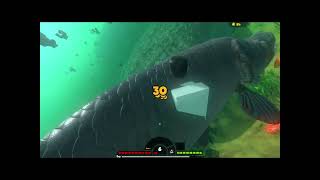 Feed amp Grow Fish Ep79 [upl. by Atilemrac814]