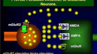 John H Krystal MD Lessons From Human Experimental Pharmacology Webinar [upl. by Lasorella]