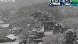 関東地方の広い範囲で雪 交通機関にも乱れ（100218） [upl. by Sly151]