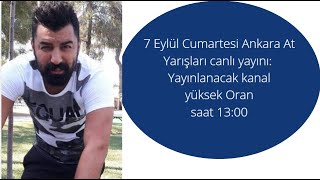 7 Eylül Cumartesi Ankara At Yarışları Canlı Yayını [upl. by Ayaet]