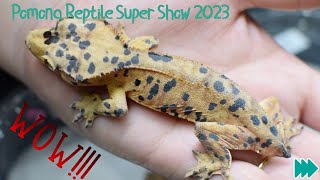 Pomona Reptile Super Show August 2023 HD 1080p [upl. by Jen]