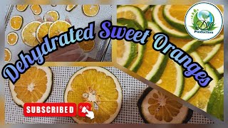 Dehydrated Sweet Oranges   විජලිත පැණි දොඩම්   2024  DilProducts [upl. by Kwasi424]