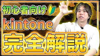 この動画でkintoneが分かります [upl. by Norling301]