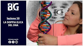 La DOPPIA ELICA del DNA  Erwin Chargaff Rosalind Franklin James Watson e Francis Crick [upl. by Roter]