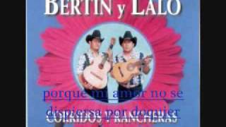 Quererte jamas vertin y lalo letra y musica [upl. by Anialram]